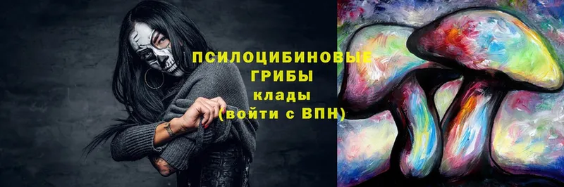 Галлюциногенные грибы мухоморы  Донецк 